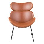 Cazar Lounge Chair in Brown - Image 2